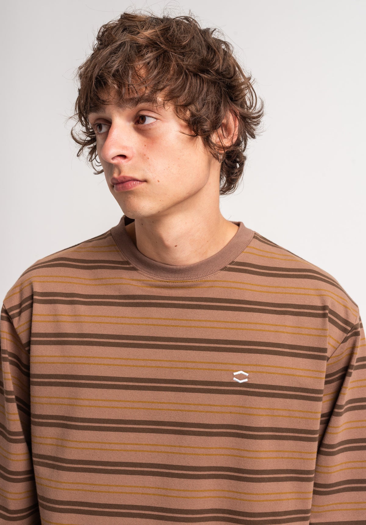TITUS Icon Stripes Longsleeve darkbrown-striped – Rückenansicht