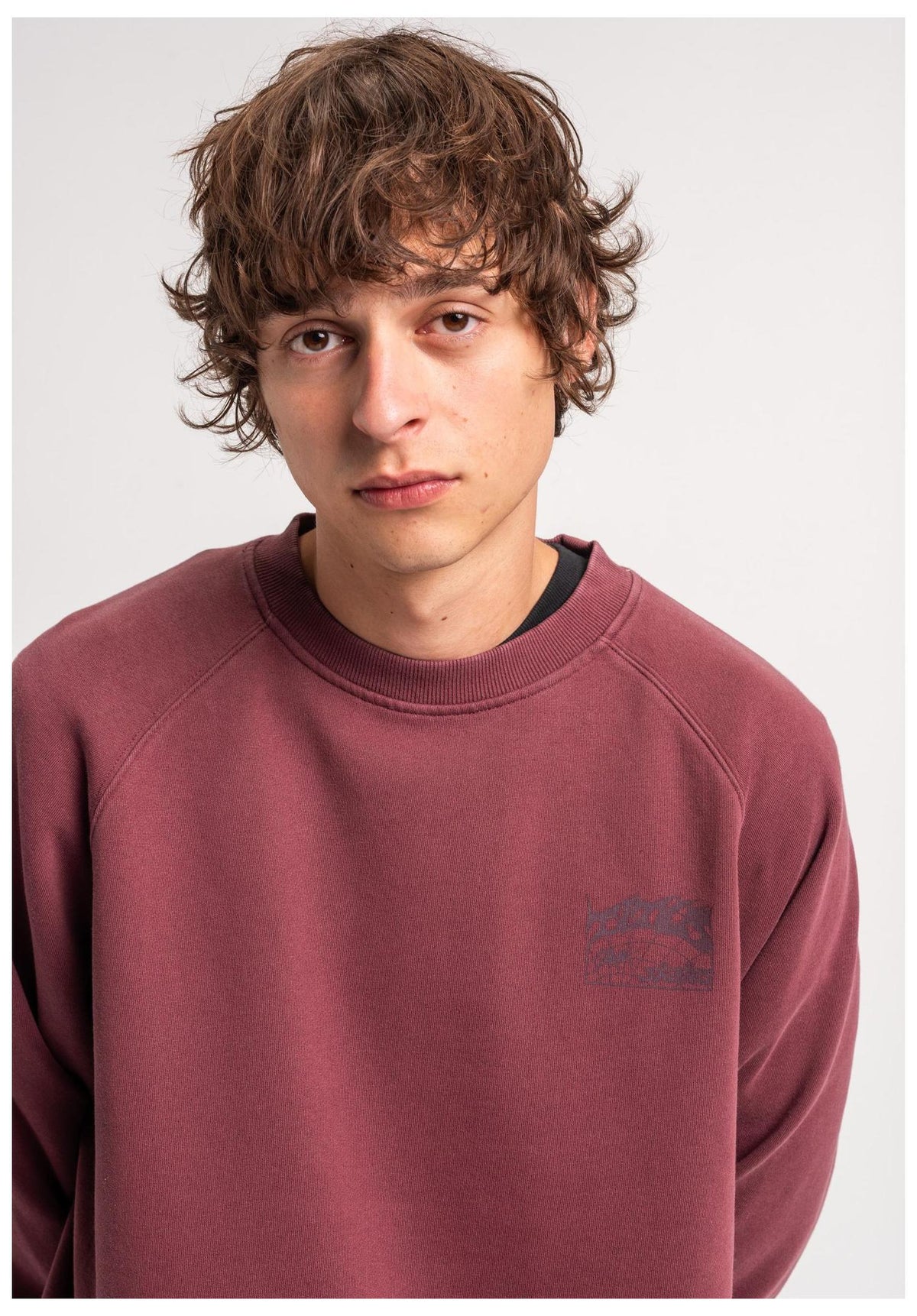 TITUS Heritage Clean Sweatshirt berryfaded – Detailansicht 2