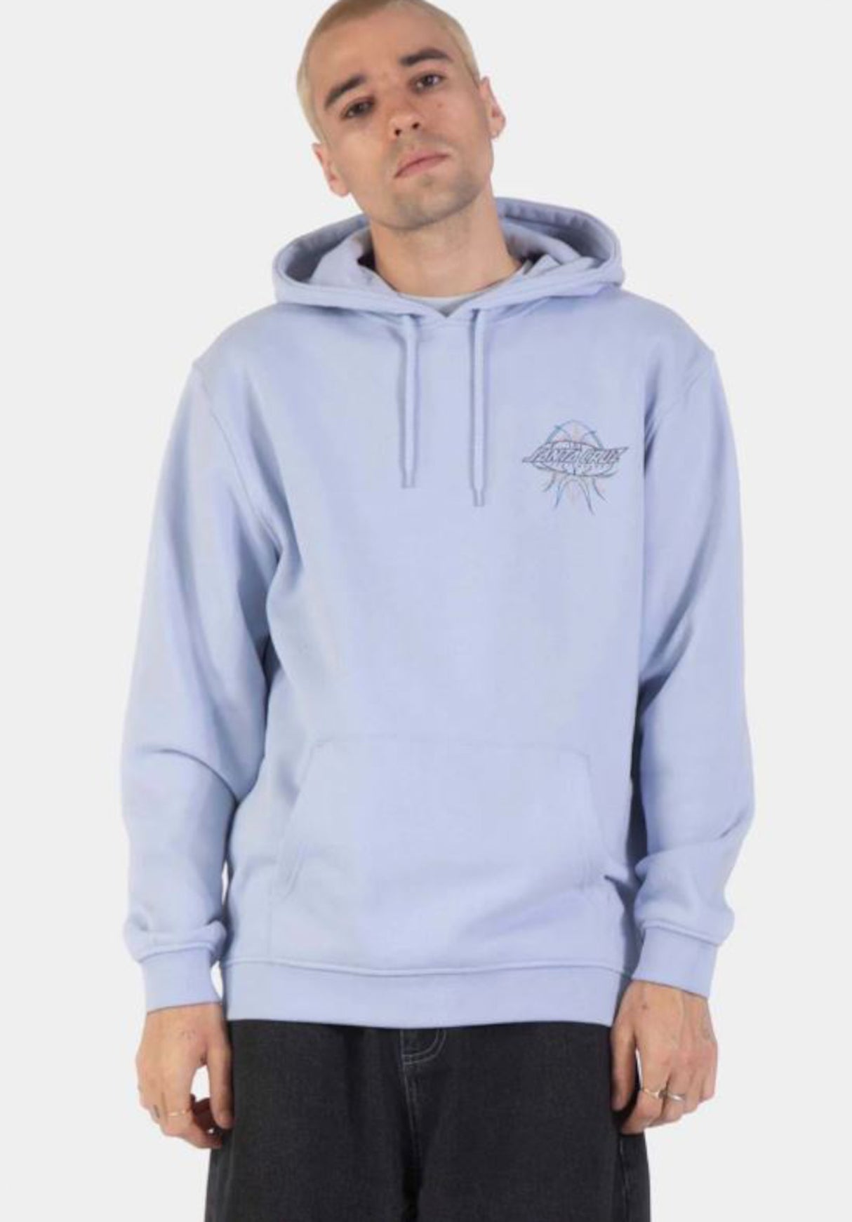 Santa-Cruz Meek Pinstripe Slasher Hoodie iceblue – Rückenansicht