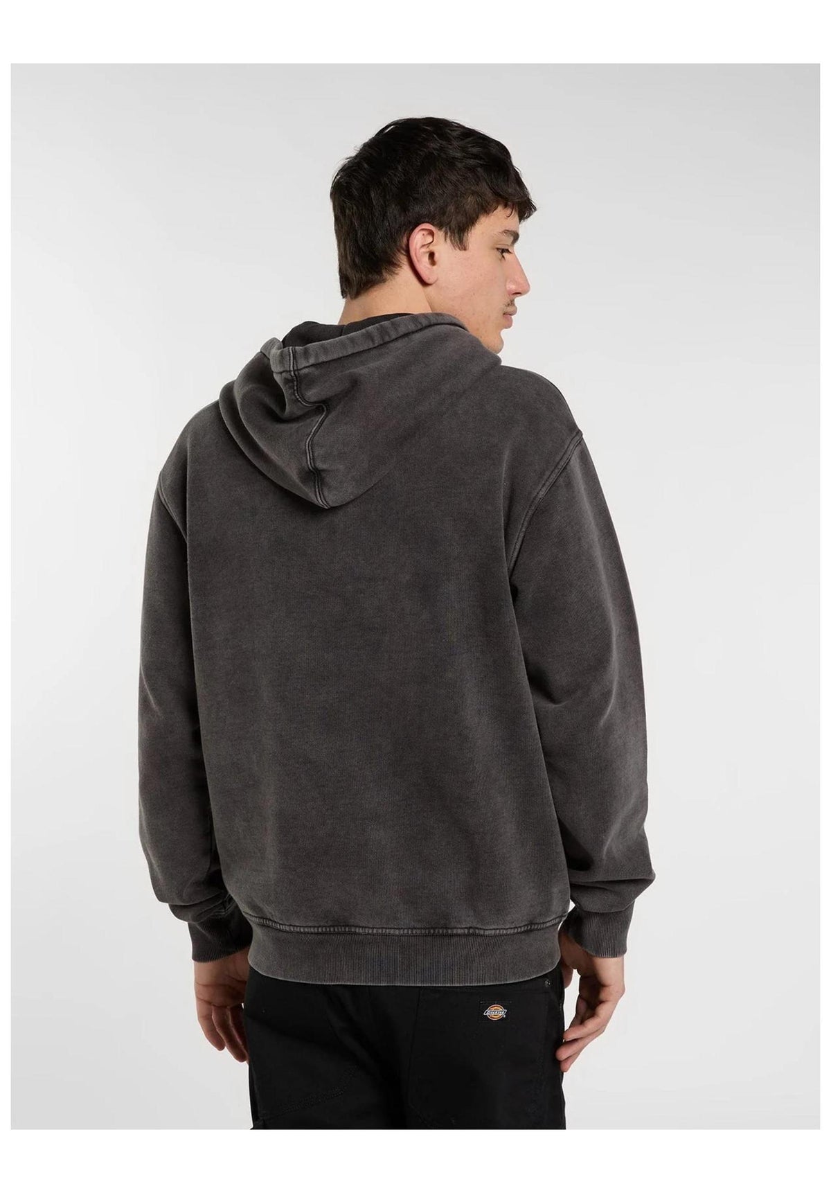 Dickies Coolidge Hoodie black – Rückenansicht