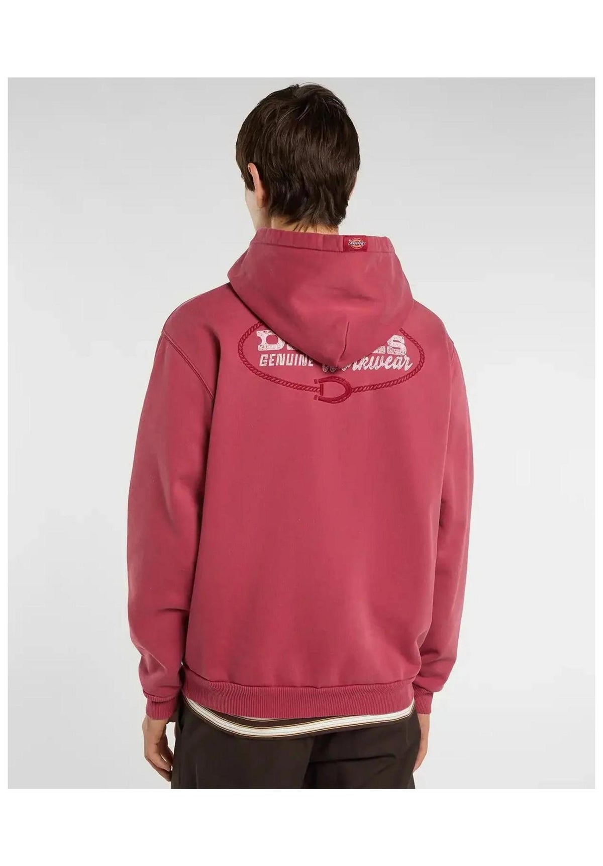 Dickies Avondale Hoodie deepclaret – Rückenansicht
