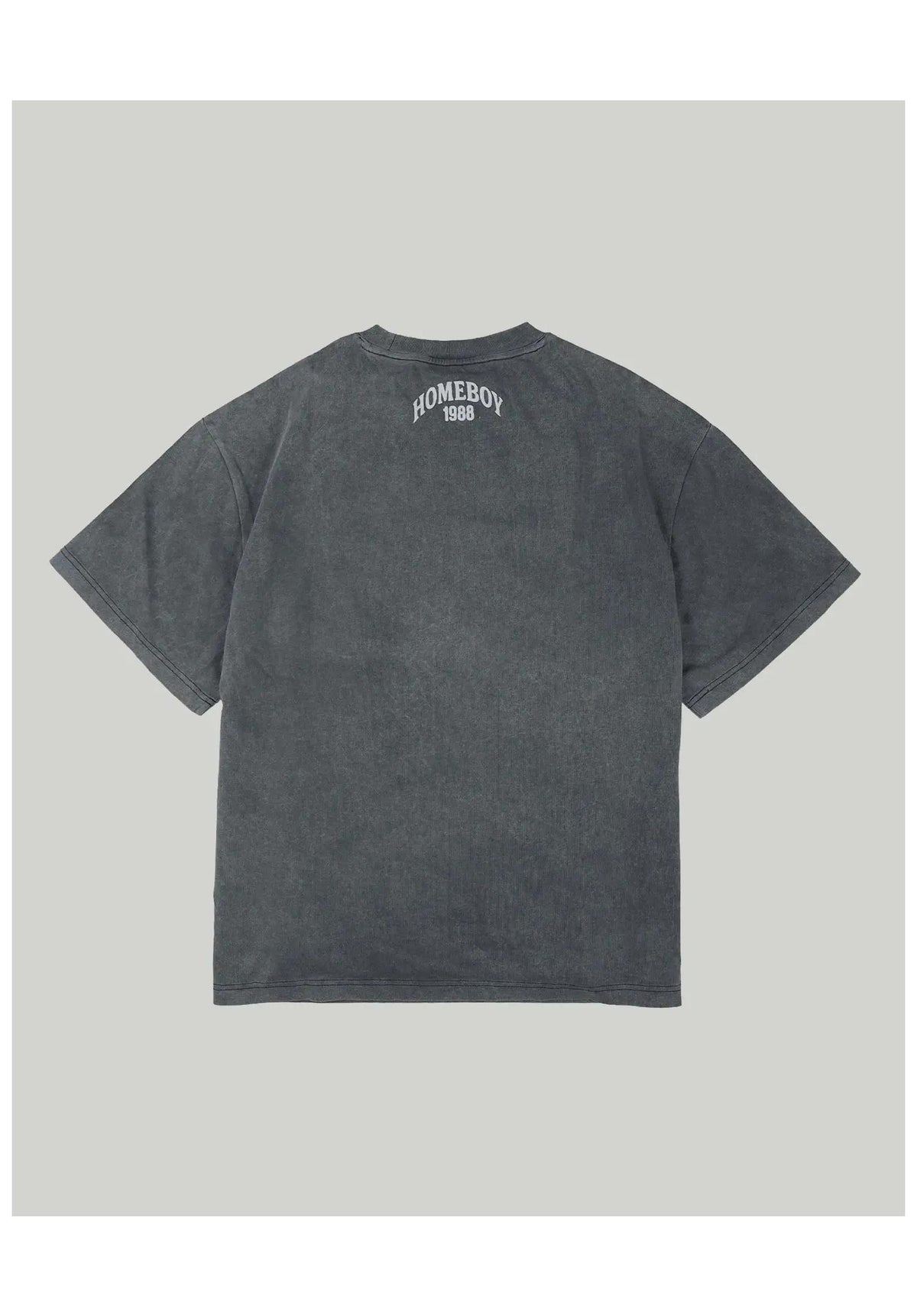 Homeboy Monochrome T-Shirt grey-washed – Rückenansicht