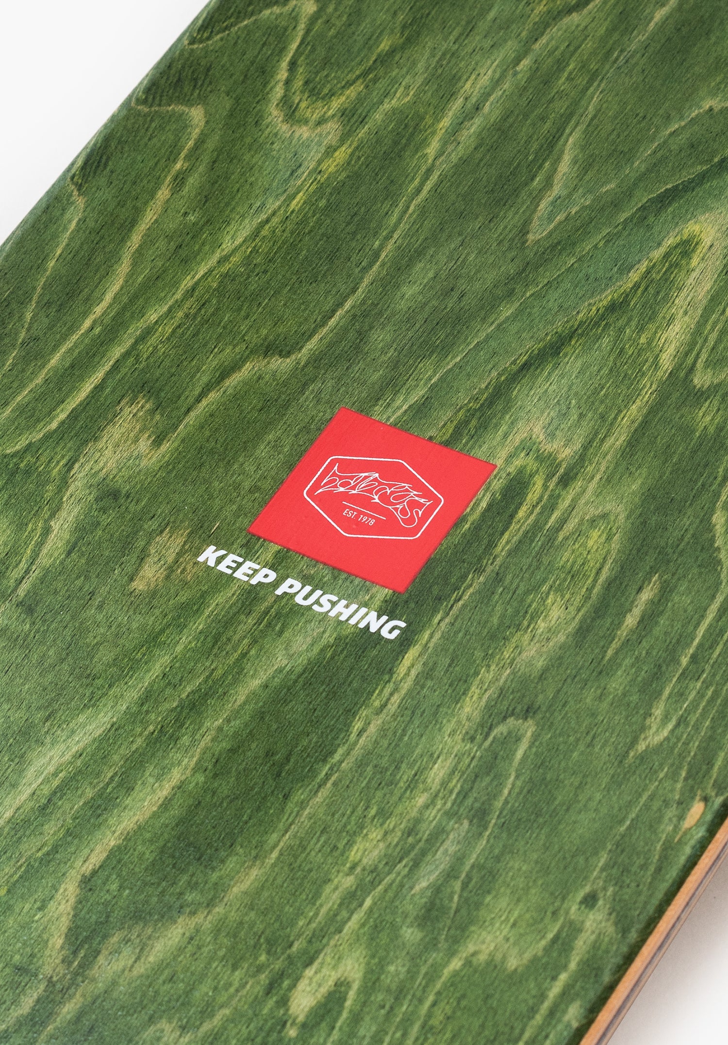 Acropora blue Closeup2 Zoom Image