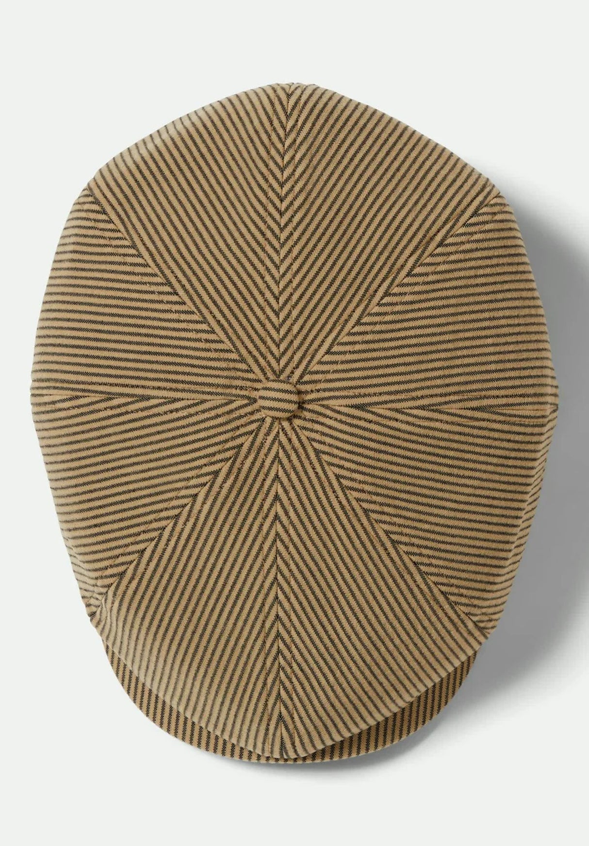 Brood darktan-blackhickorystripe Closeup1