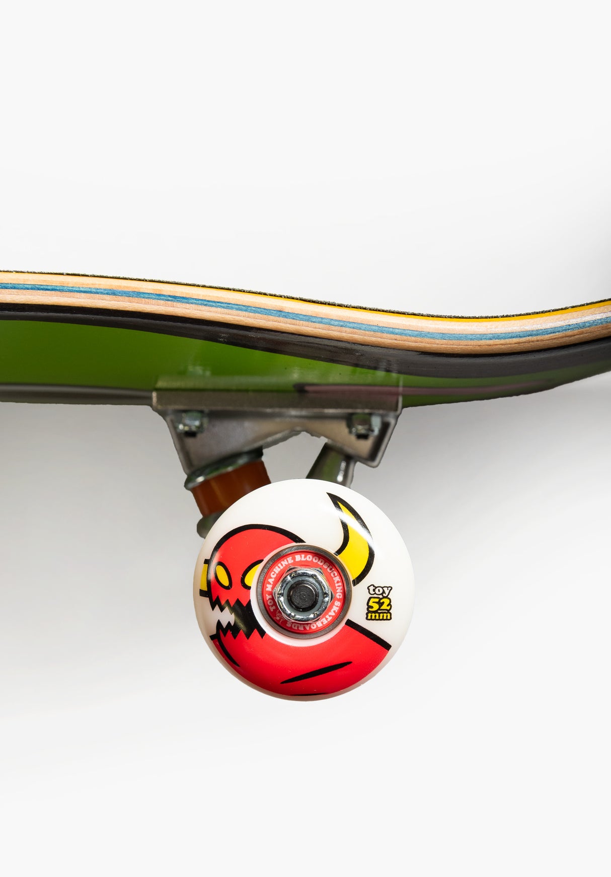 Turtle Sym multicolored Closeup2