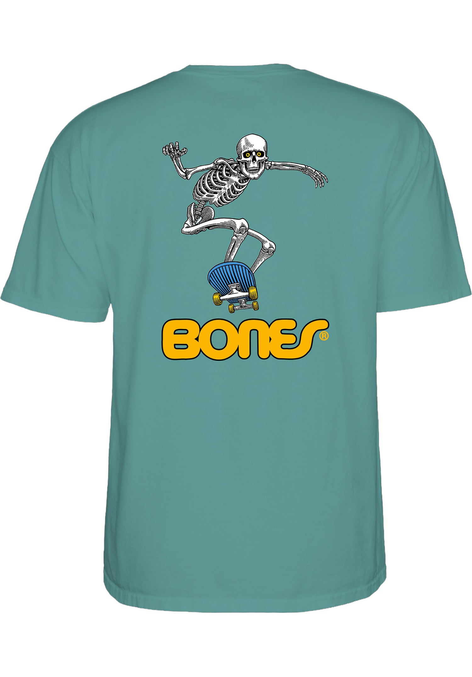 Skateboard Skeleton II aquatic Rueckenansicht Zoom Image