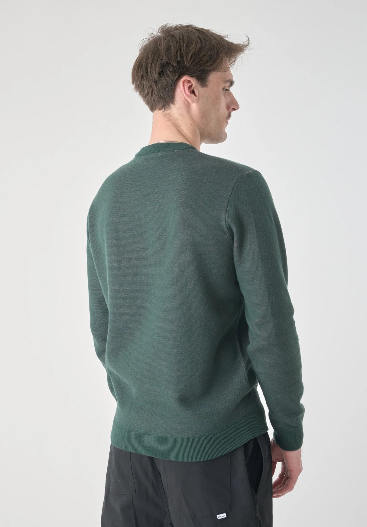 Cat & Dog magicalforest Rueckenansicht