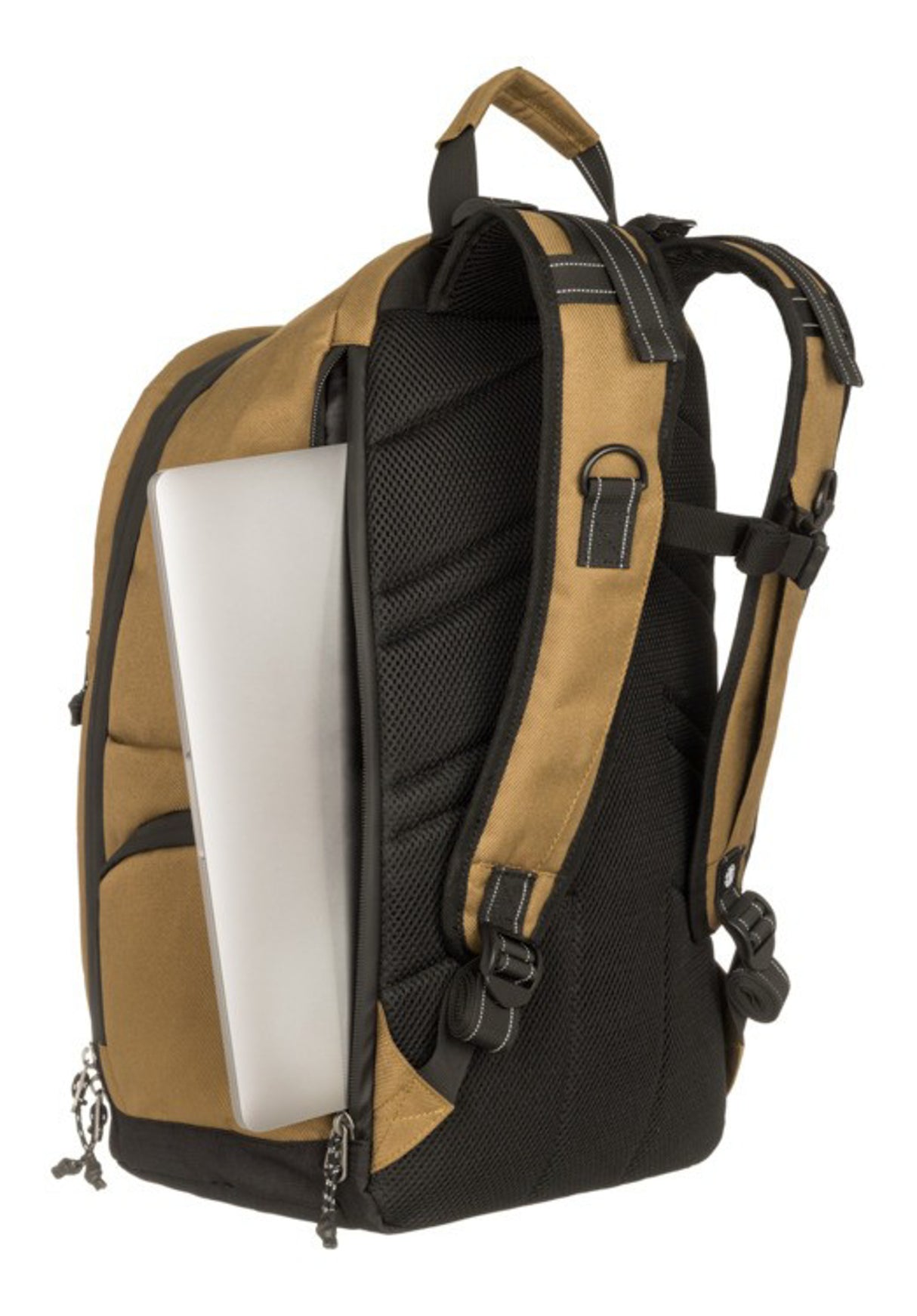 Scheme Skate kangaroo Closeup1