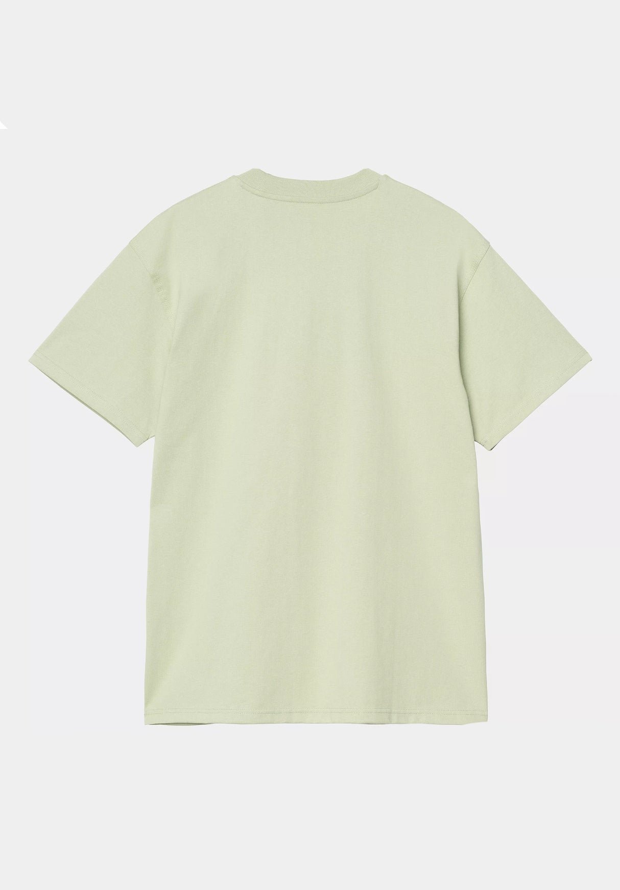 American Script paleolive Rueckenansicht