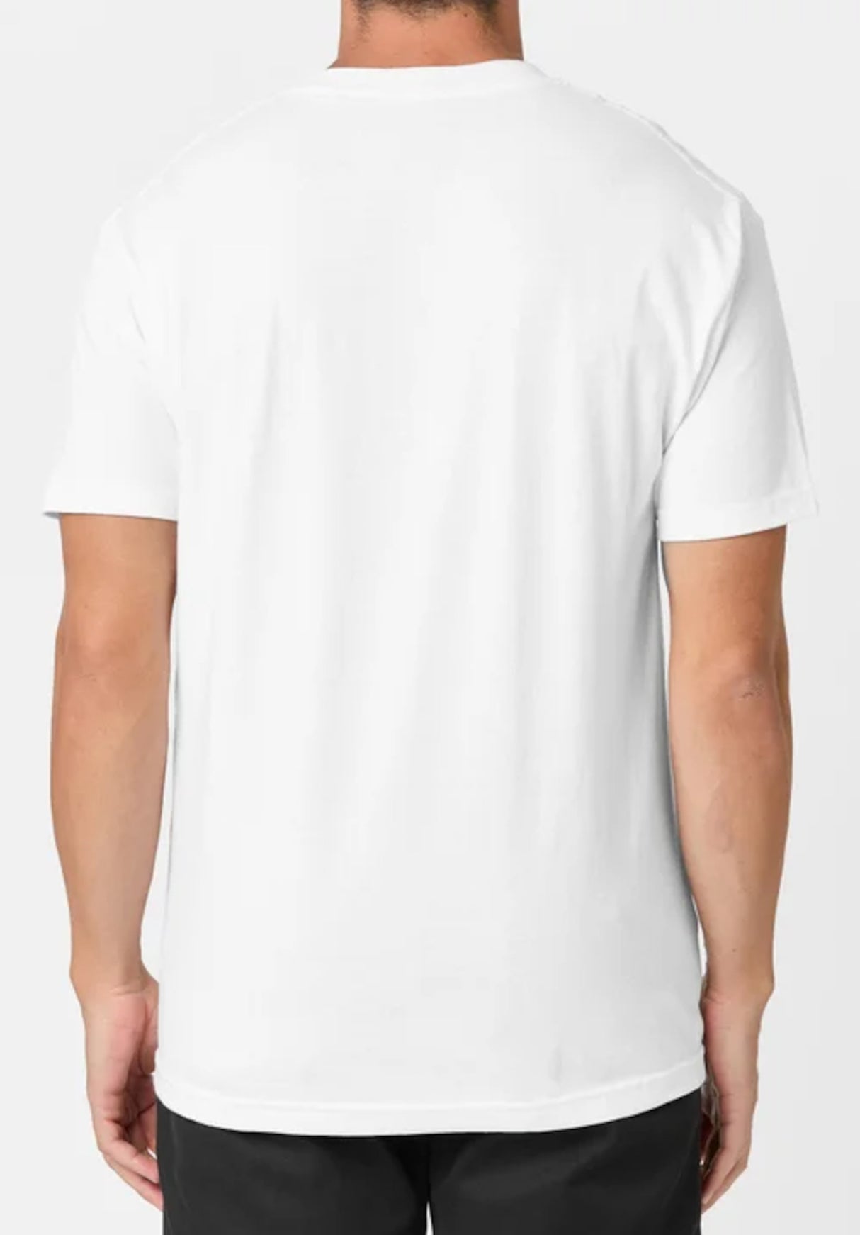 Bighead white Rueckenansicht