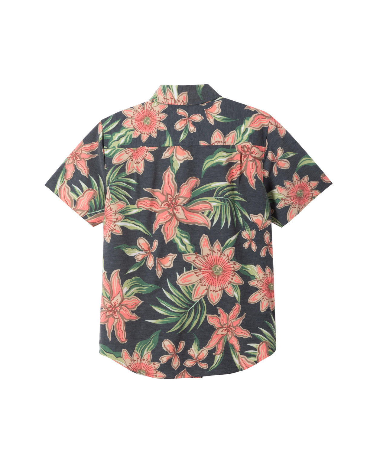 Warren black Rueckenansicht