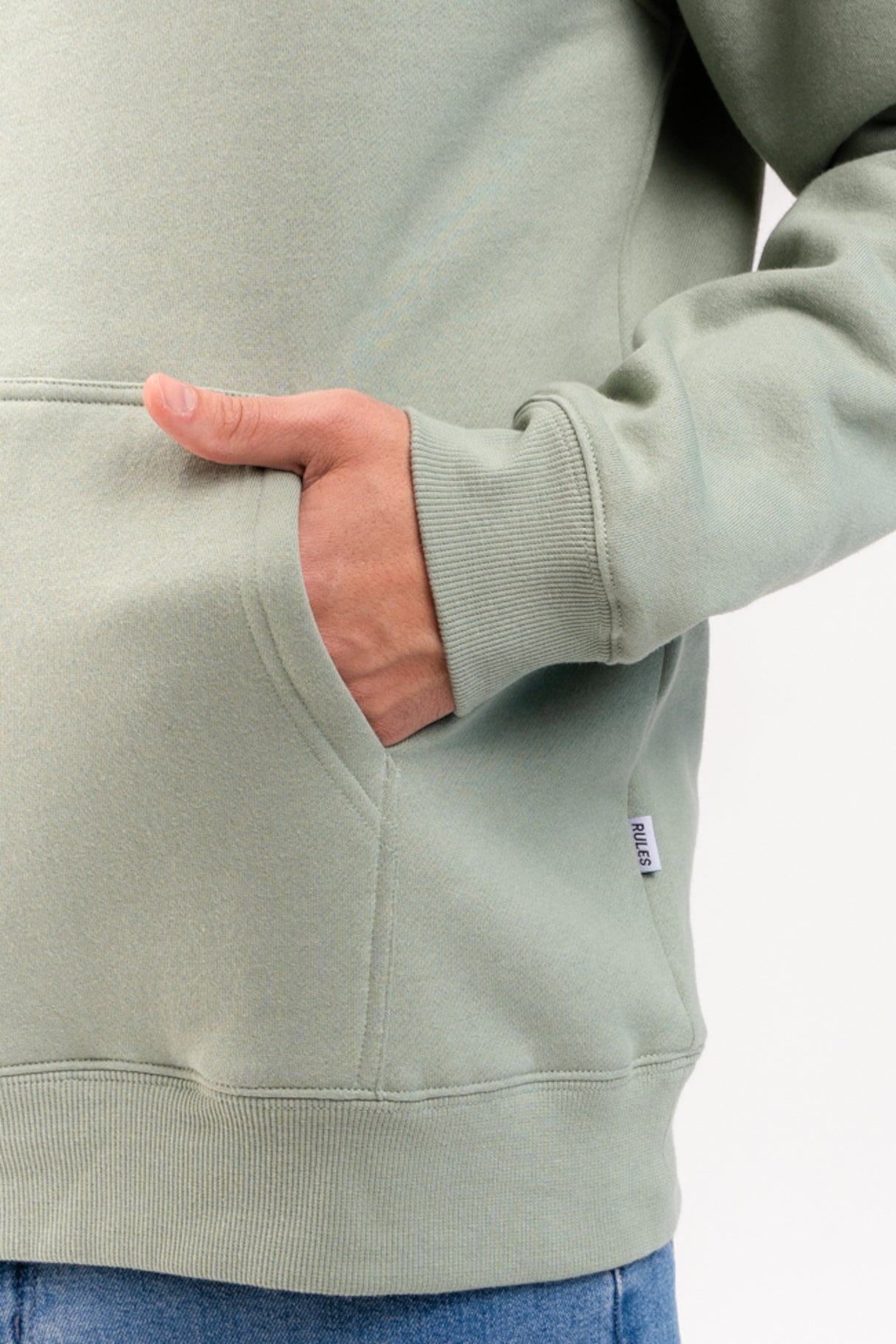 Easy Hood sage Closeup1