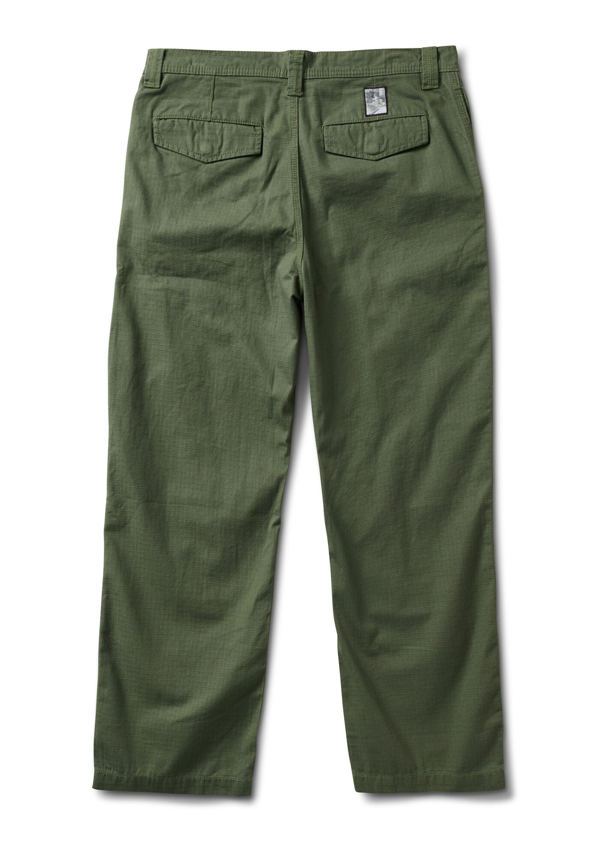 Skate Loose Atiba Haze Cargo pineforest Rueckenansicht