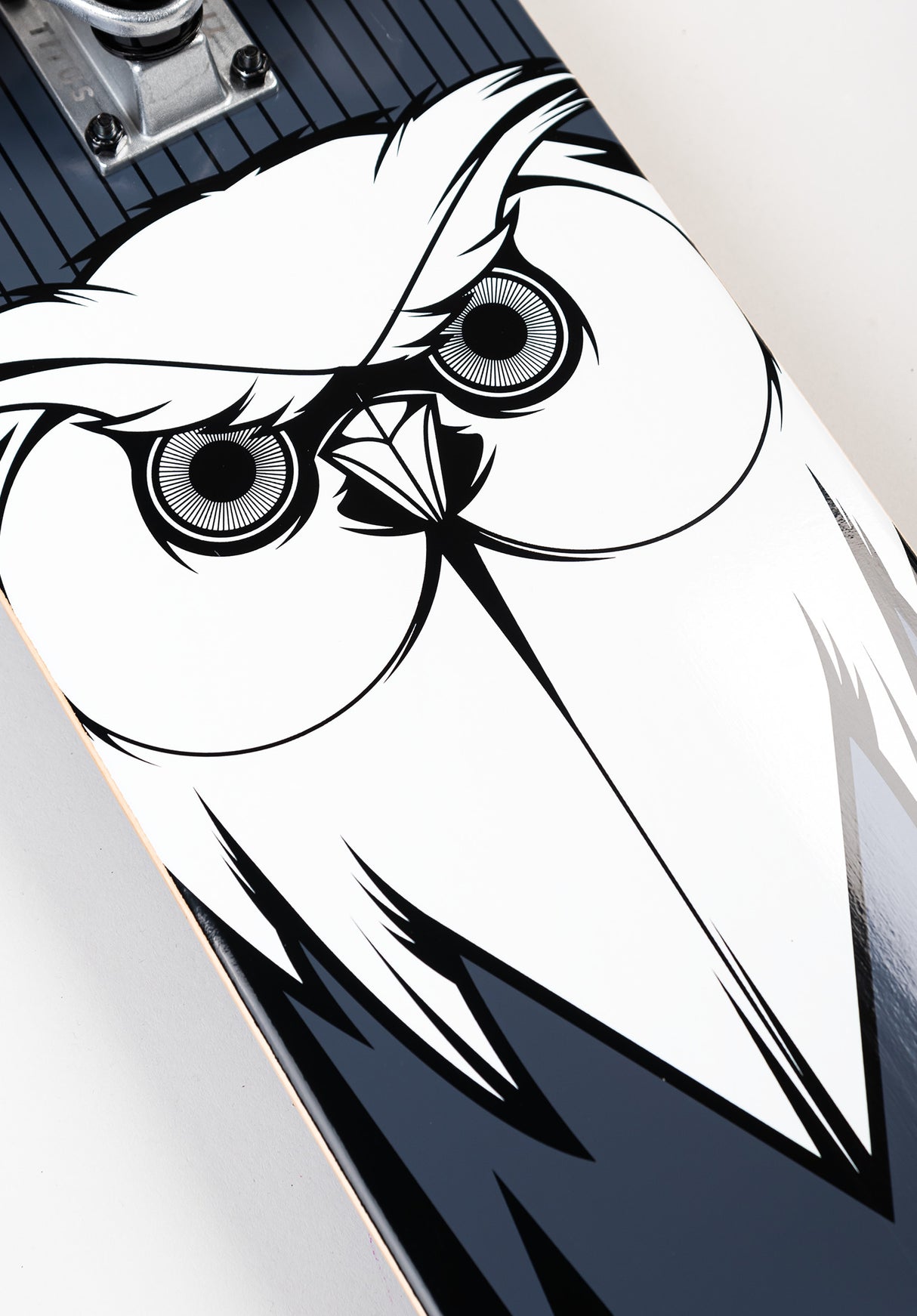 Blackbird Owl black-grey-white Seitenansicht