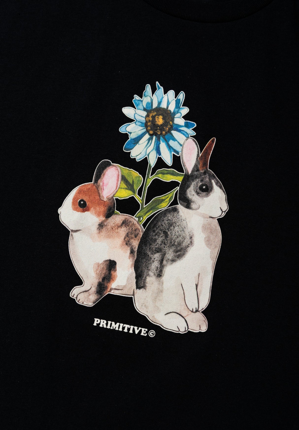 Dream Nicely black Closeup1