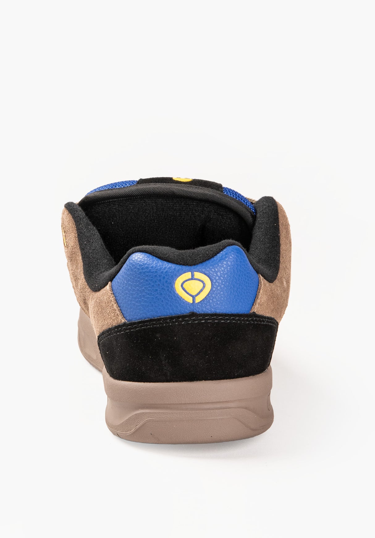 805 shitake-blue-yellow Closeup2