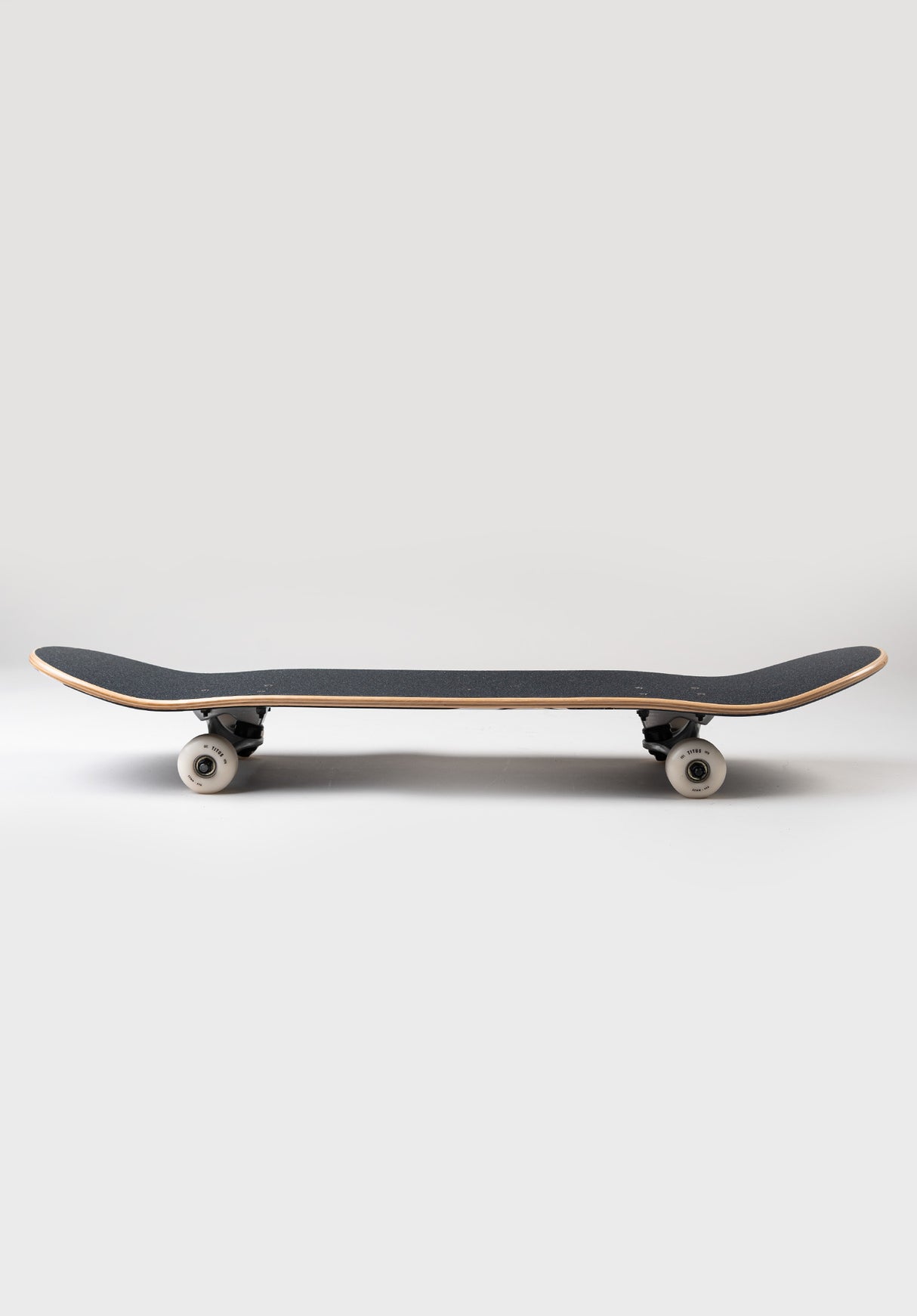 Blackbird Owl black-grey-white Closeup1