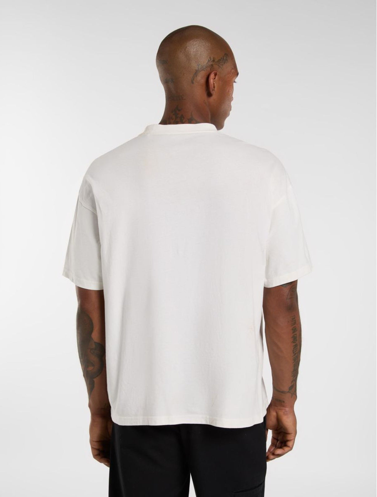 Williston egret Rueckenansicht