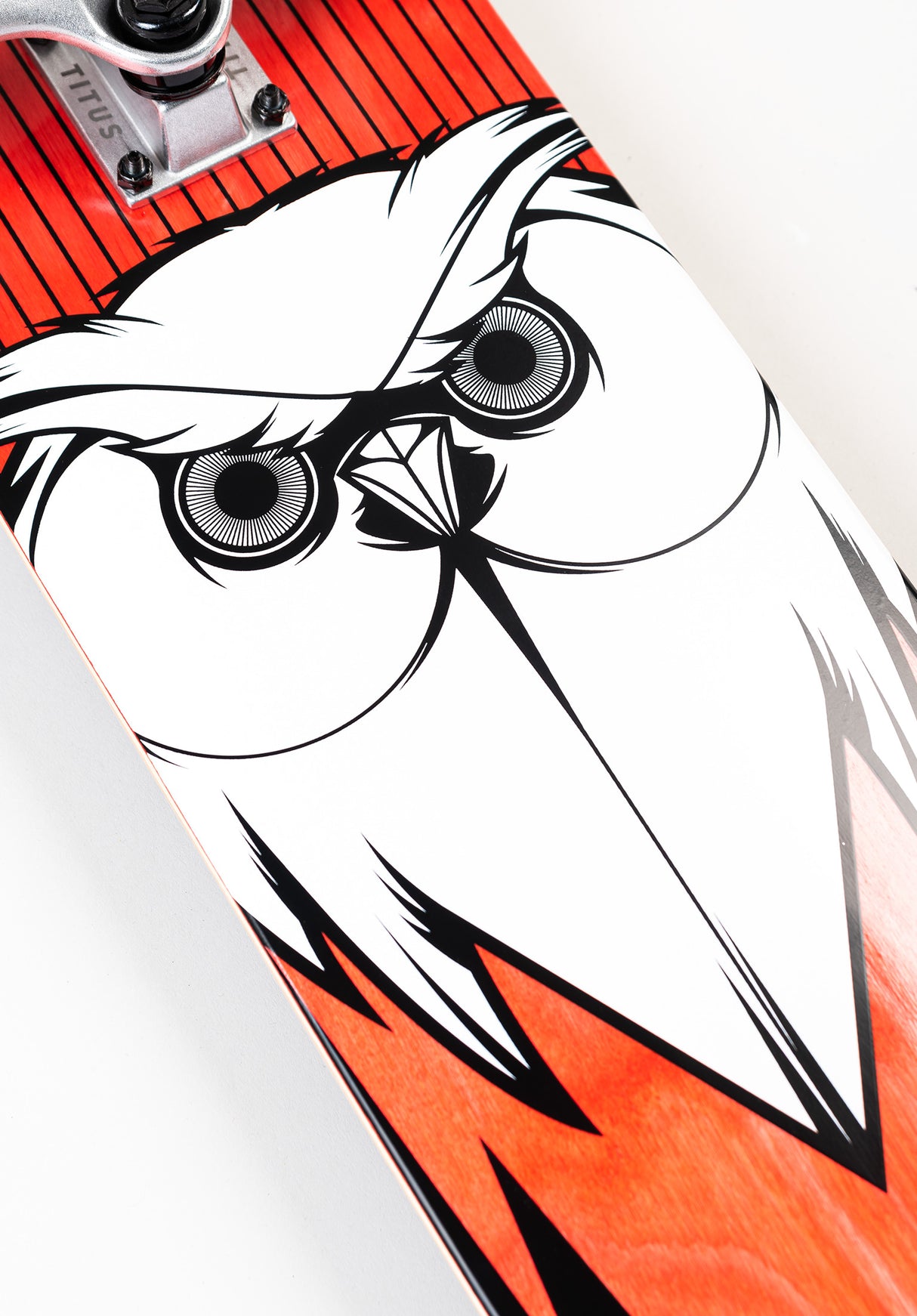 Blackbird Owl black-red-white Seitenansicht