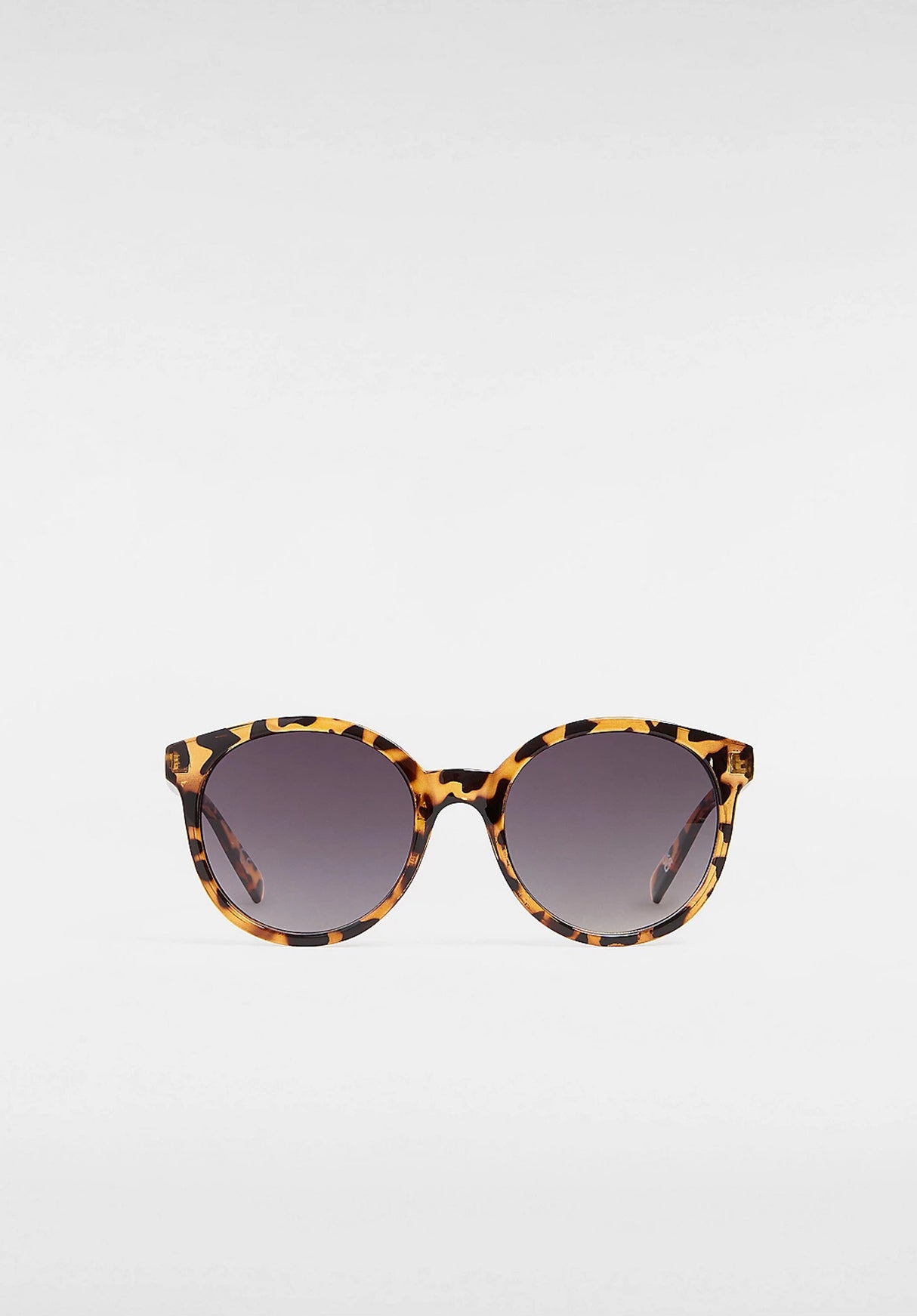 Rise and Shine tortoise Rueckenansicht