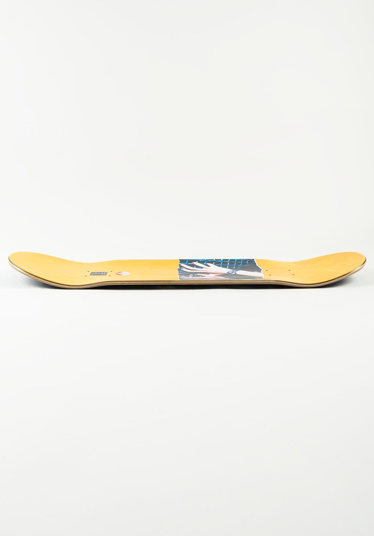 Platt Caged black-blue Close-Up1