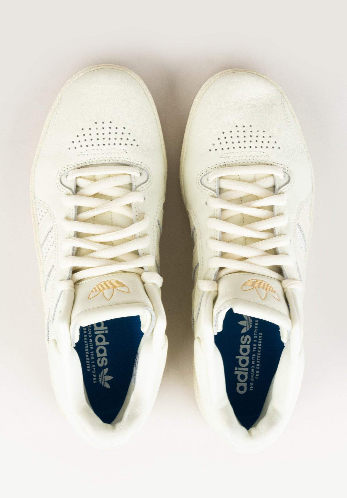 Tyshawn ivory-ivory-bluebird Close-Up2