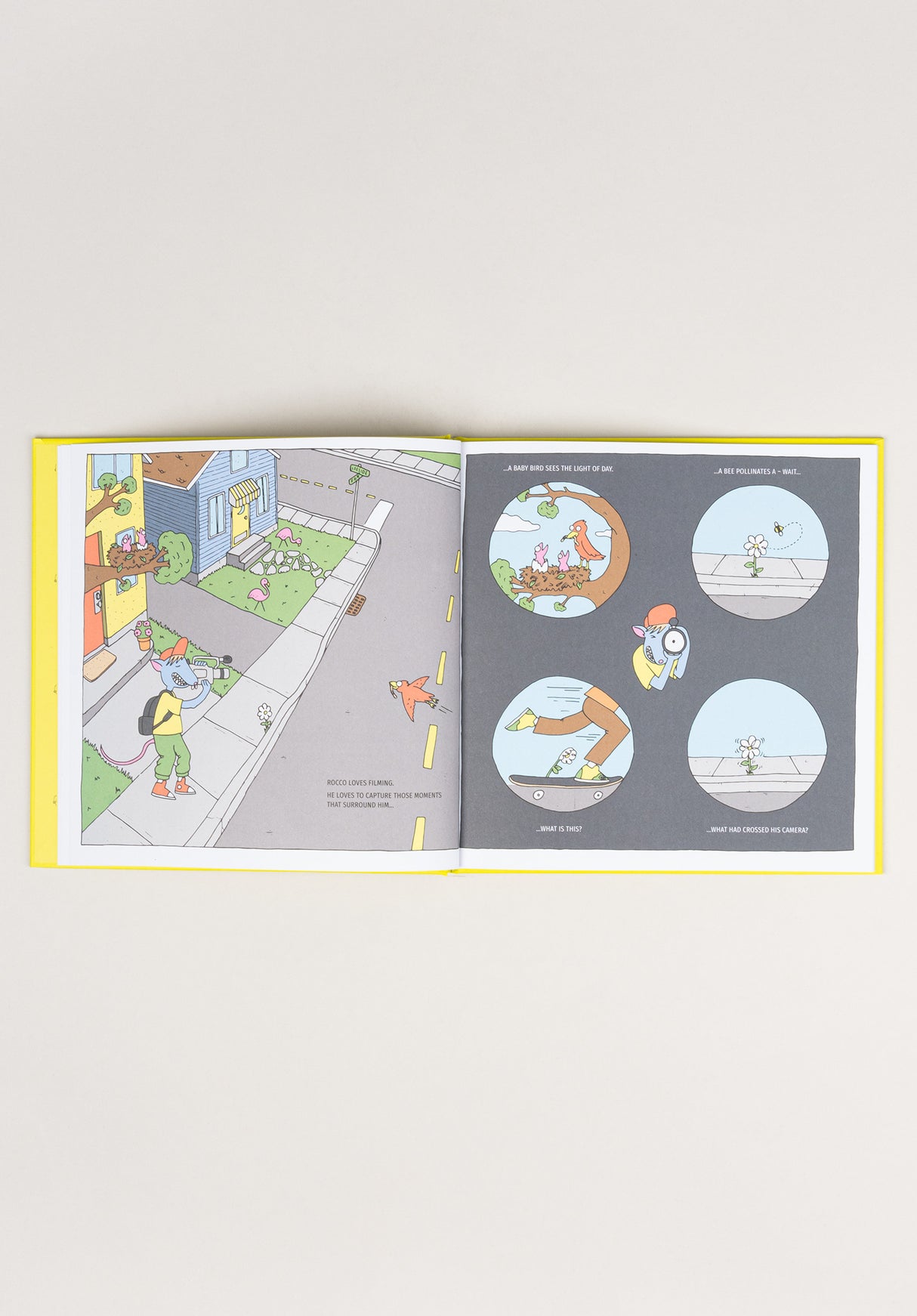 The Secret multicolored Oberansicht