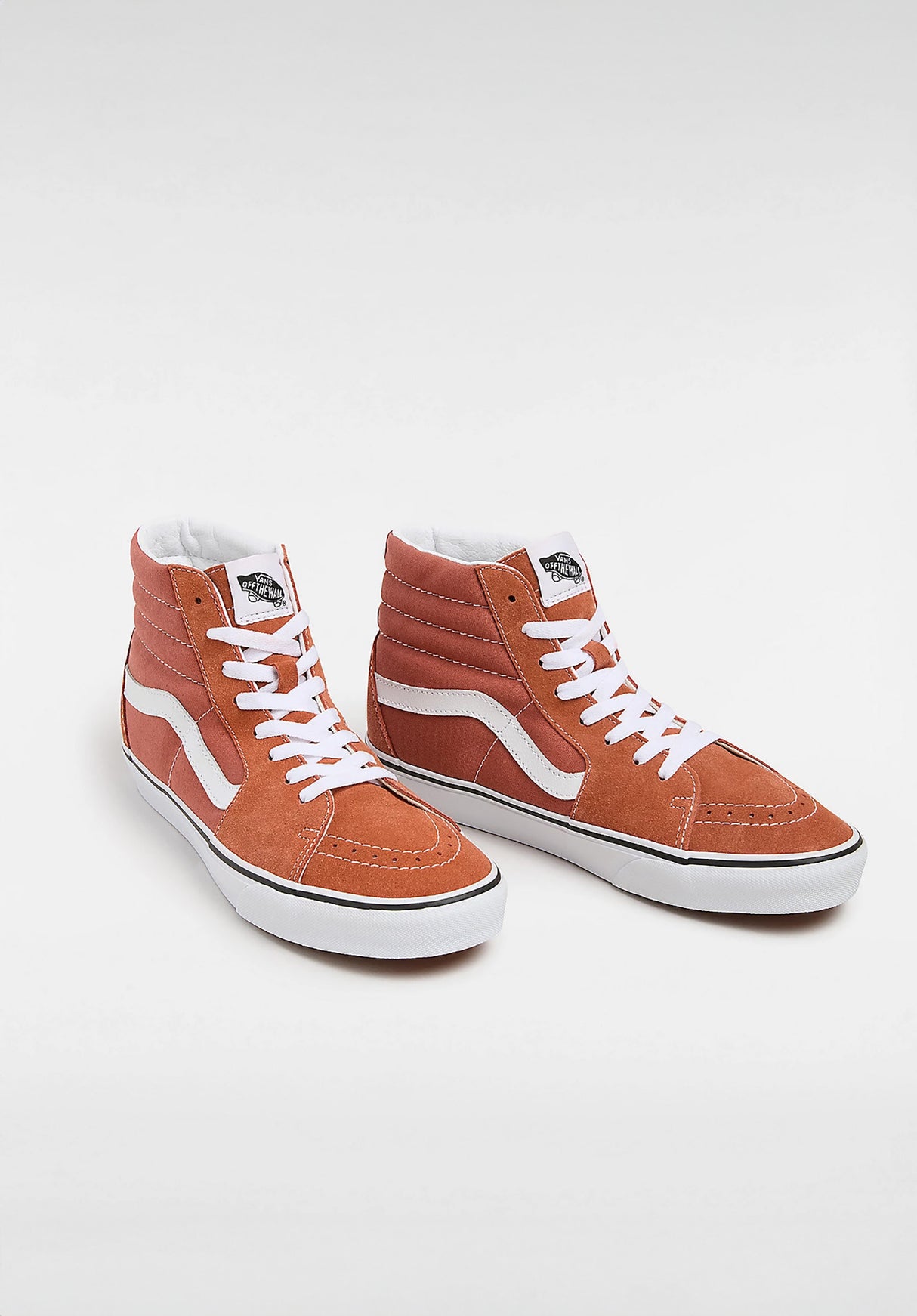 Sk8-Hi colortheoryauburn Rueckenansicht