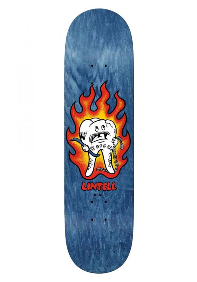 Lintell Mascot assorted Vorderansicht