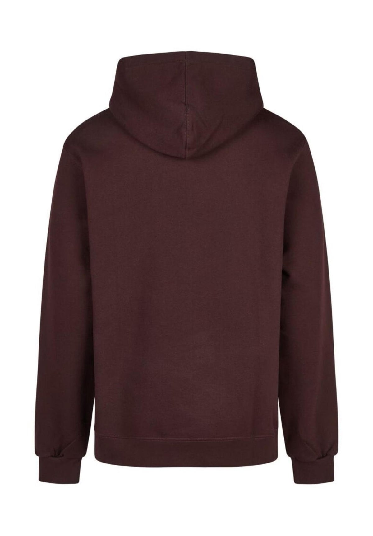 iriedaily Smokin Van Hoodie aubergine – Rückenansicht