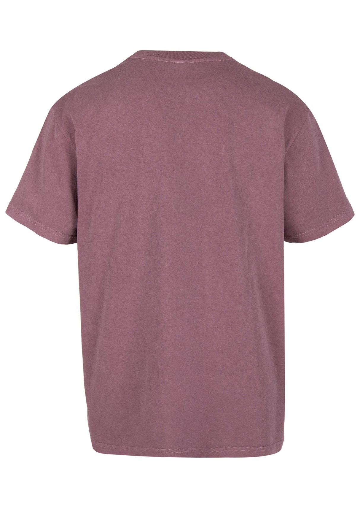 iriedaily Waterdeeper 2 T-Shirt darkberry – Rückenansicht