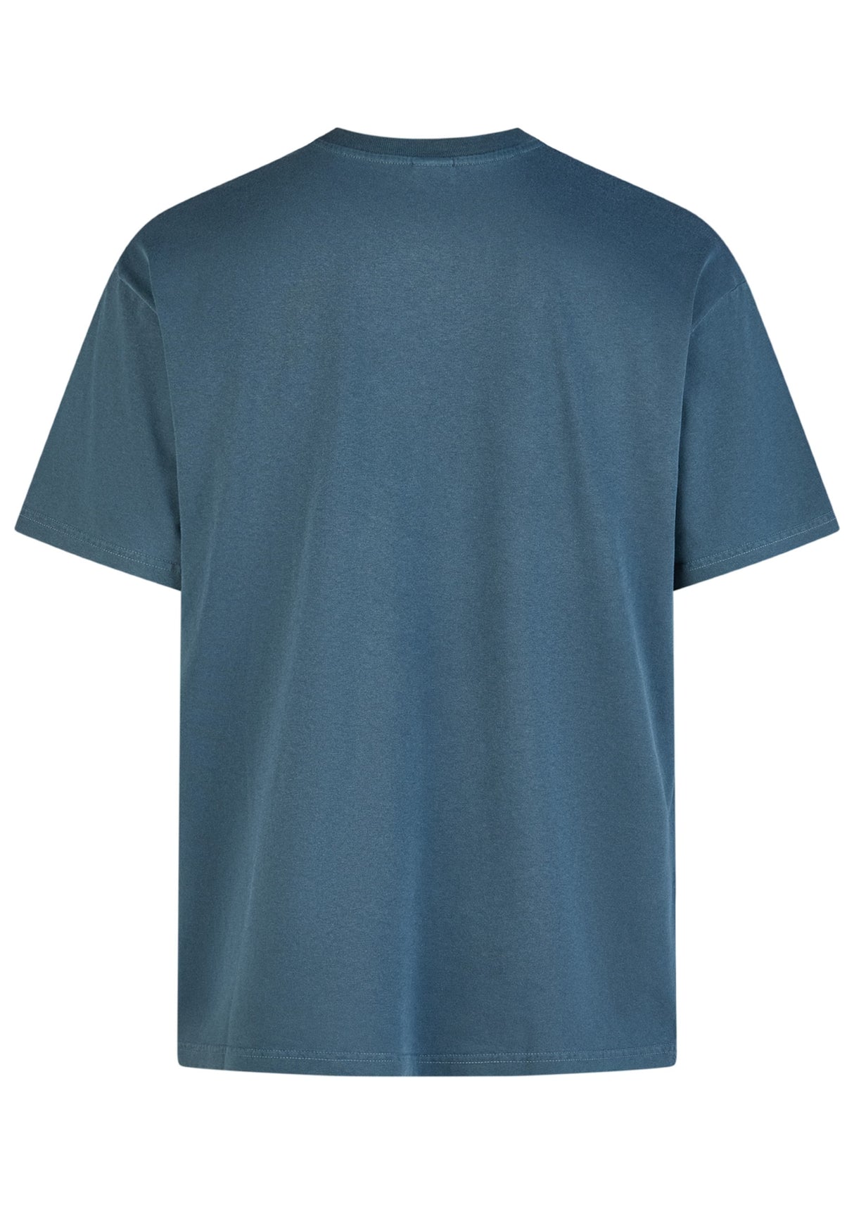 iriedaily Waterdeeper 2 T-Shirt darkorion – Rückenansicht