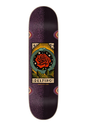 Delfino Ouroboros Pro purple-black Vorderansicht