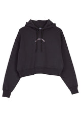 Santa-Cruz Chrome Flower Stack Hoodie blackwash – Rückenansicht