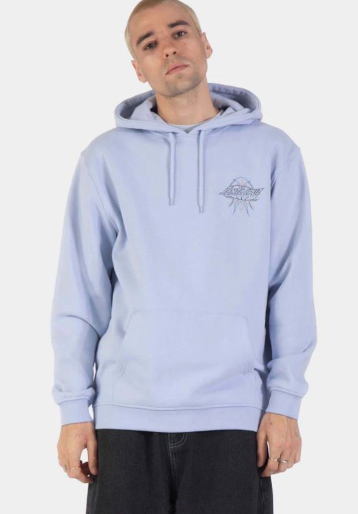 Santa-Cruz Meek Pinstripe Slasher Hoodie iceblue – Rückenansicht