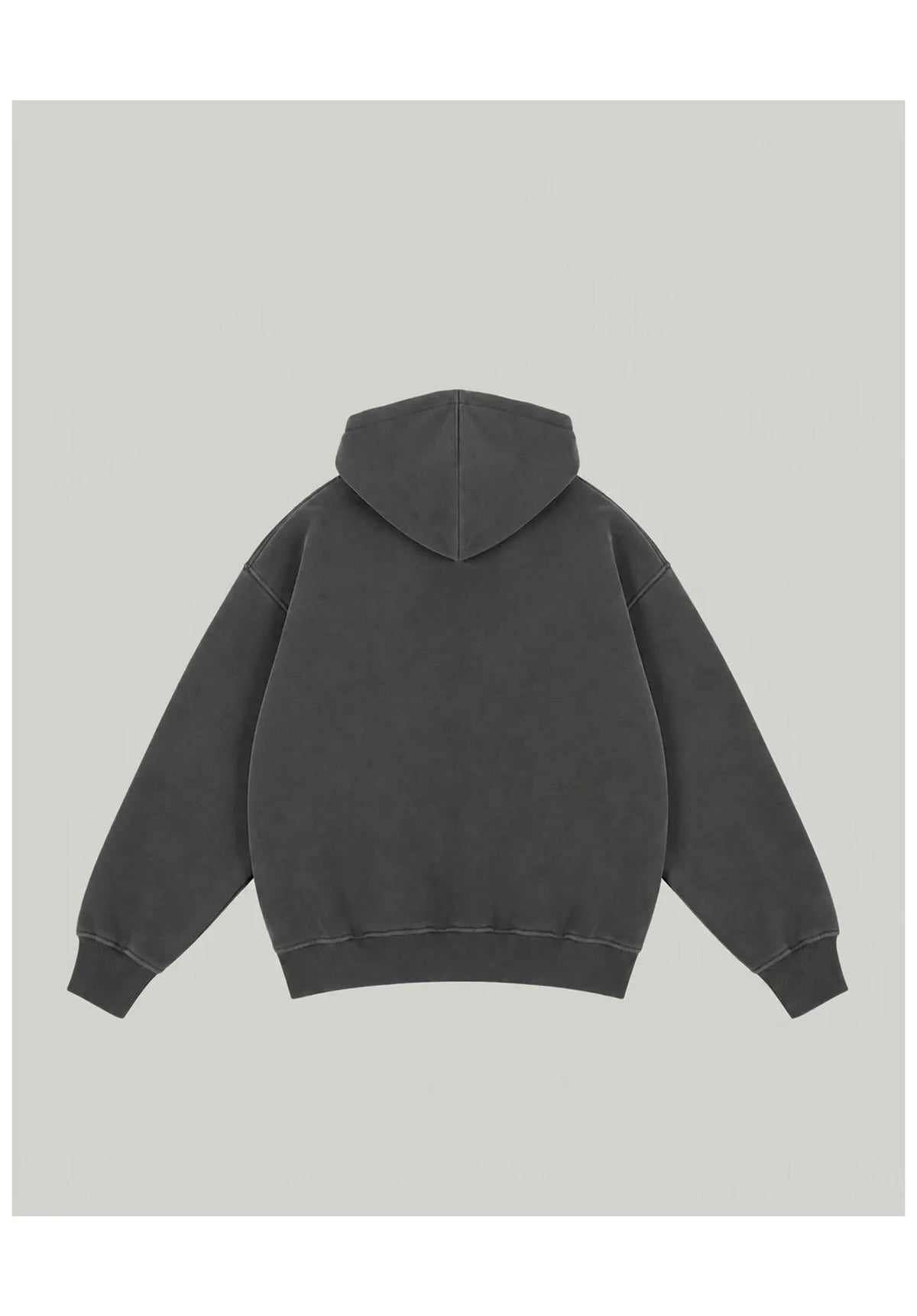 Homeboy Shy Logo Hood Hoodie grey-washed – Rückenansicht