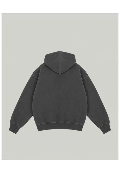 Homeboy Shy Logo Hood Hoodie grey-washed – Rückenansicht