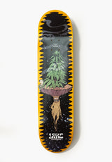 JART Stay High Deck assorted – Vorderansicht