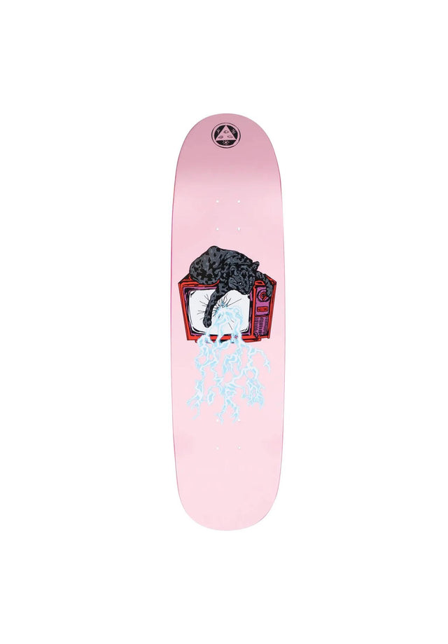 Nora Static Sphynx pink Vorderansicht