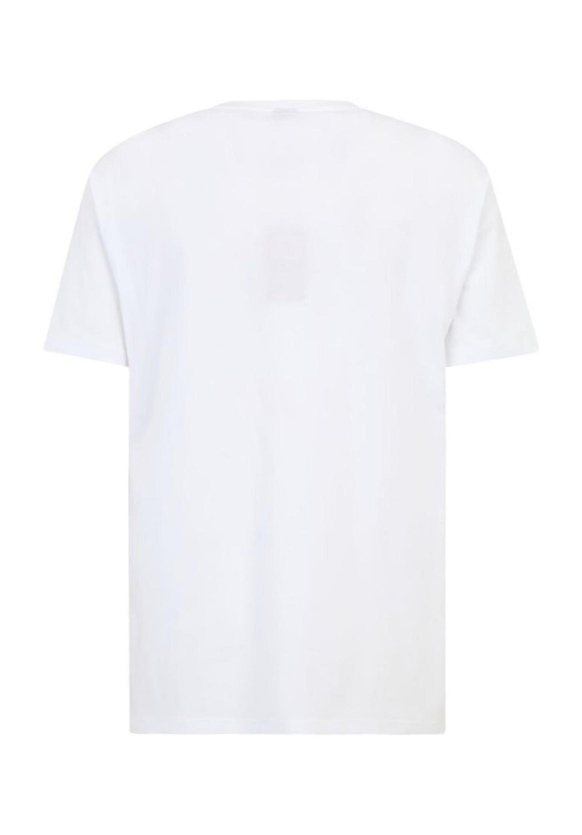 iriedaily Chestflag T-Shirt white – Rückenansicht