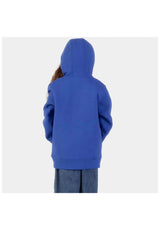 Santa-Cruz Youth Screaming Hand Hoodie sapphire – Rückenansicht