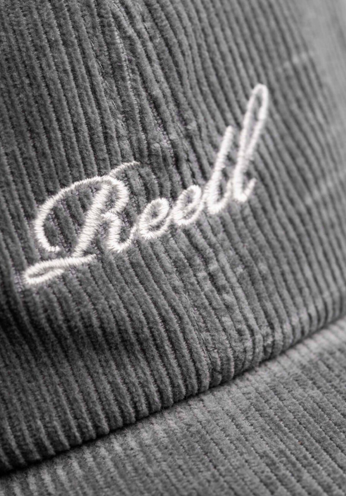 Reell Single Script Cap Cap bluegrey-cord – Rückenansicht