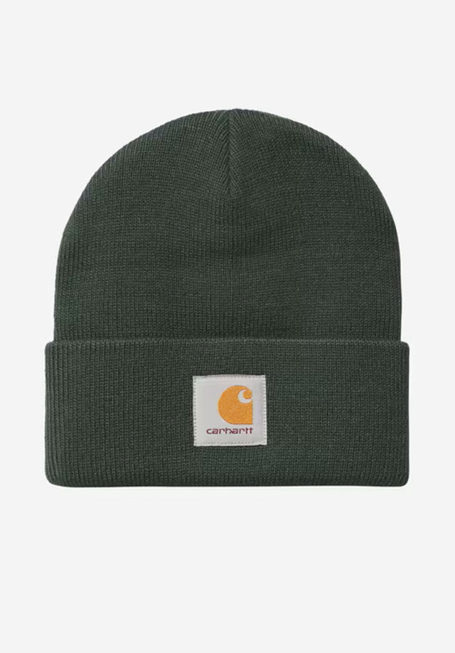 Short Watch Hat darkscarab Vorderansicht