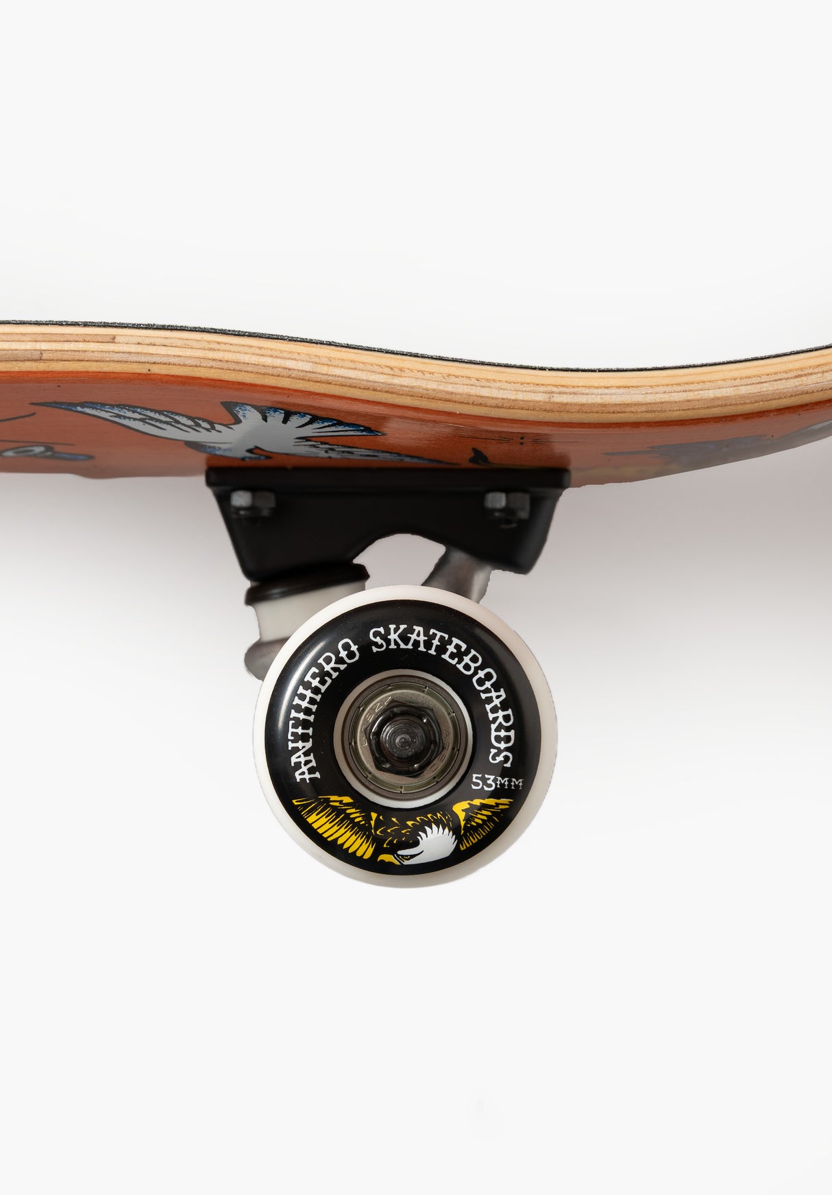 No Regerts orange Closeup1