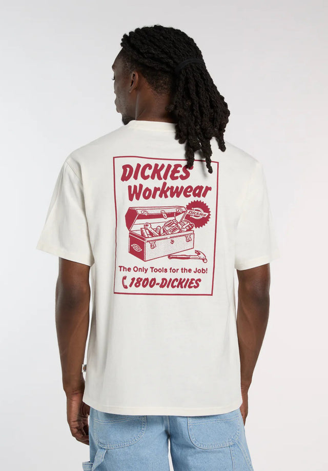 Dry Ridge egret Vorderansicht