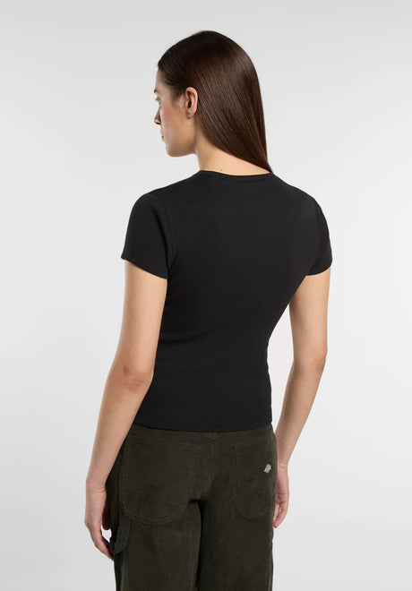Dickies Gladeville T-Shirt black – Rückenansicht