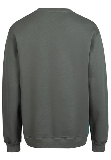 iriedaily Mini Flag 2 Sweatshirt junglegreen – Rückenansicht