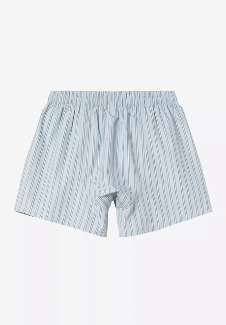 Cotton Boxer grimsbystripe-bluefog Rueckenansicht