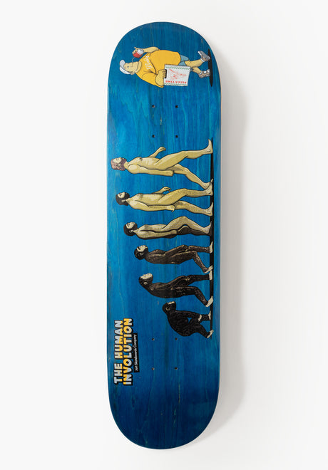 Involution assorted Vorderansicht