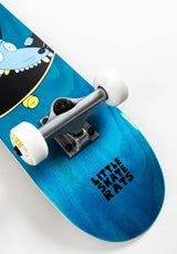 Rocco Micro blue Closeup1